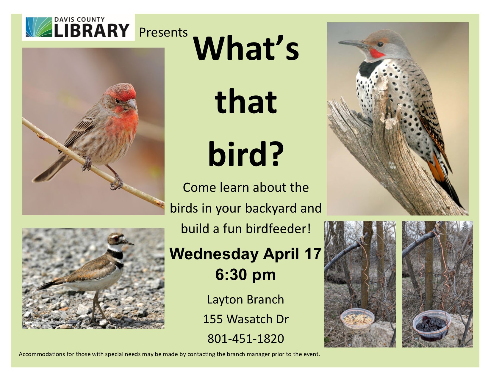 What's that bird? Wednesday April 17, 6:30 pm. Photos of House Finch, Northern Flicker, Killdeer and homemade bird feeder 