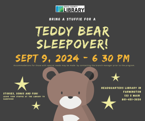 Teddy Bear Sleepover