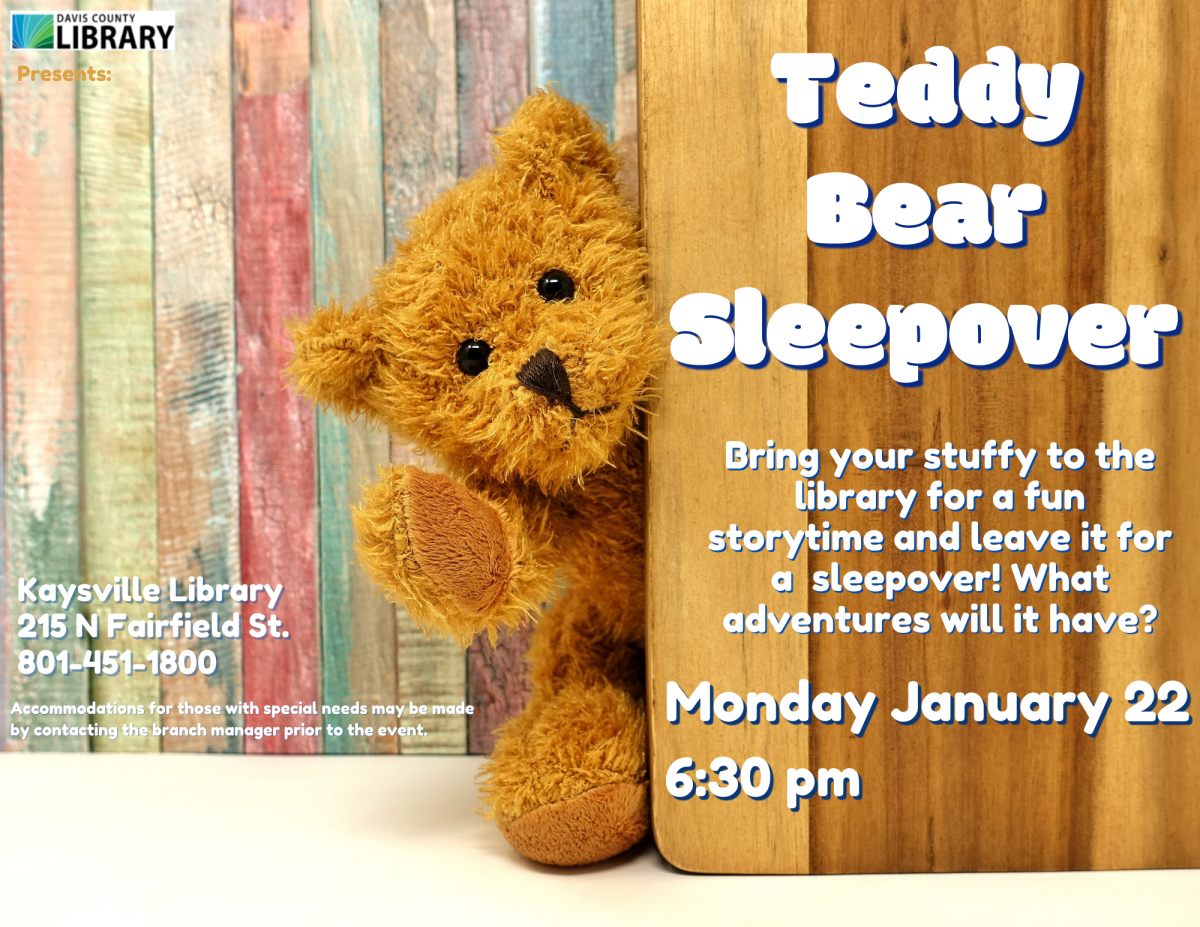 Teddy Bear Sleepover